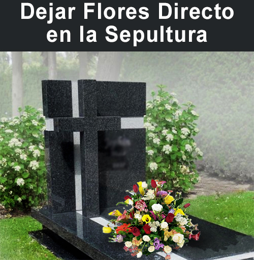 Servicio de utilidad cuando usted se encuentra en el extranjero, a distancia o se enteró tarde, y desea  enviar flores y honrar a su ser querido en la sepultura.  Un mensajero dejará cuidadosamente un bello cojín mixto directo en la tumba que usted indique. Junto con la confirmación, le enviaremos una fotografía con el arreglo depositado en el lugar.   Es muy importante que nos proporcione:    1. El Nombre de La Familia que aparece en la Sepultura y número de sepultura    2. Nombre de quien va dirigido      3. Nombre del Cementerio   4. Número del patio o Sector    5. Telefono de algún Familiar opcional.     Cualquier información o consulta particular, favor contactarnos al +56 222341793  o  Cel  +56 998705440 (Servicio disponible Sólo Santiago -  Otras ciudades y países favor consultar telefónicamente.     Seleccione color del arreglo: